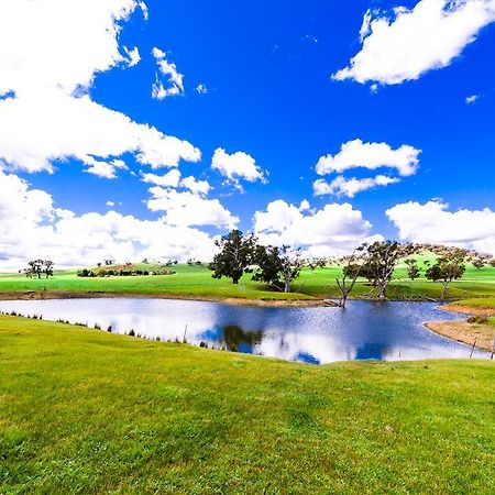 Hillview Farmstay Gundagai Luaran gambar