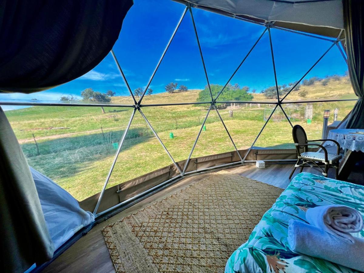 Hillview Farmstay Gundagai Luaran gambar