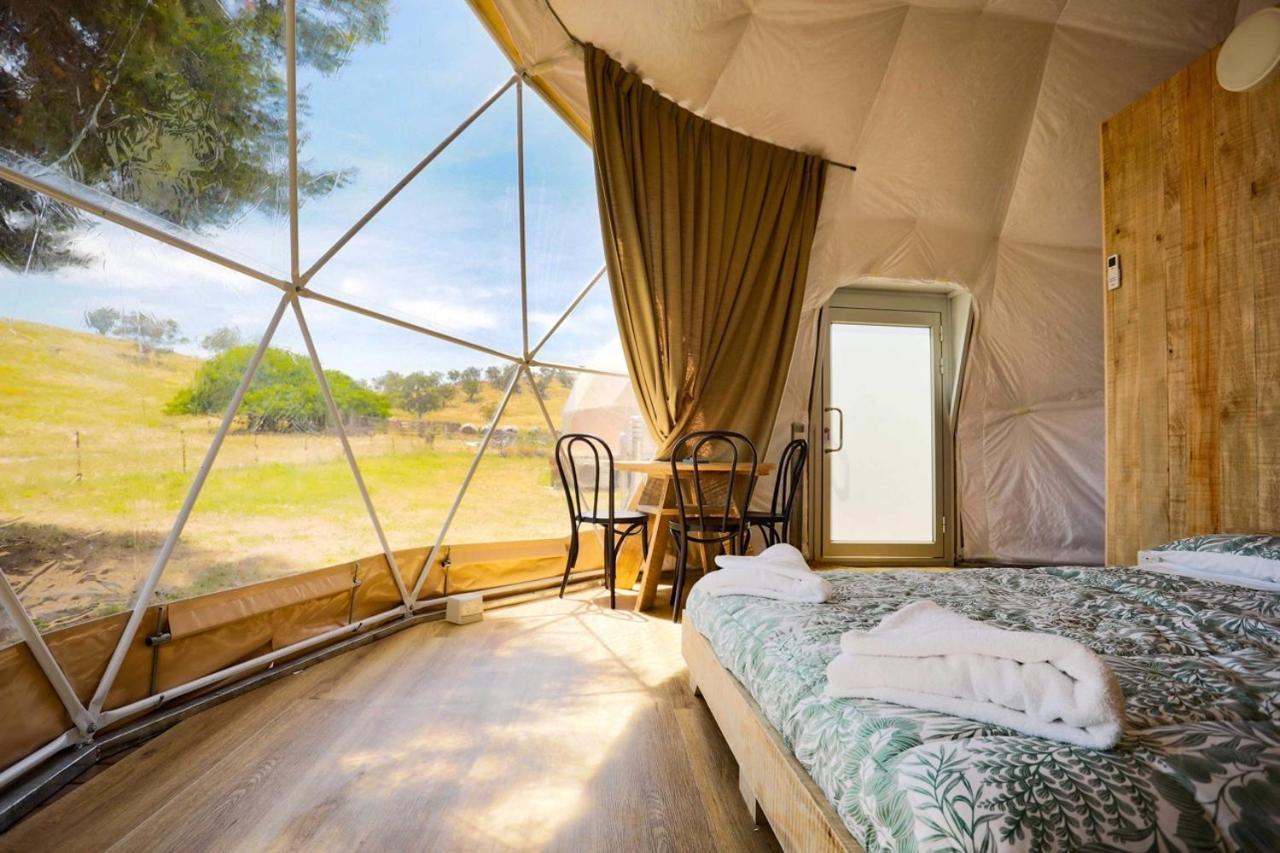 Hillview Farmstay Gundagai Luaran gambar