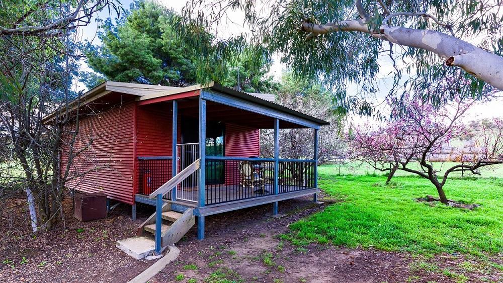 Hillview Farmstay Gundagai Luaran gambar