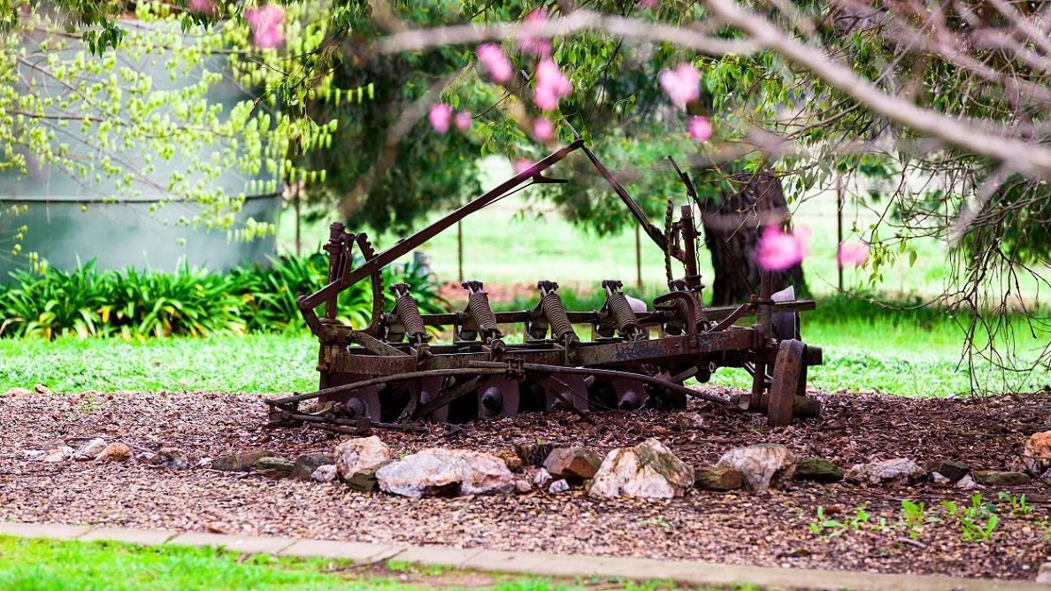 Hillview Farmstay Gundagai Luaran gambar