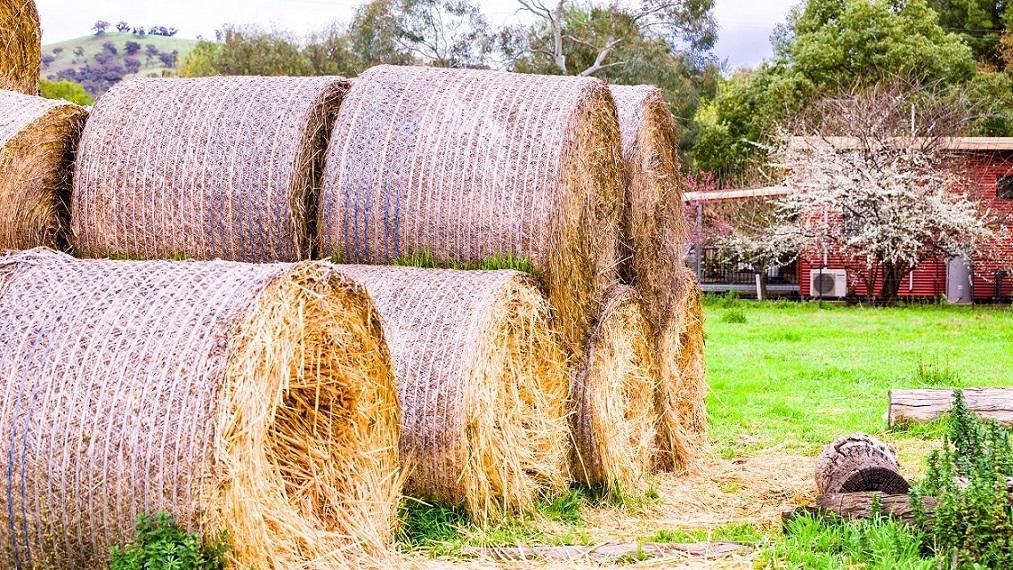 Hillview Farmstay Gundagai Luaran gambar