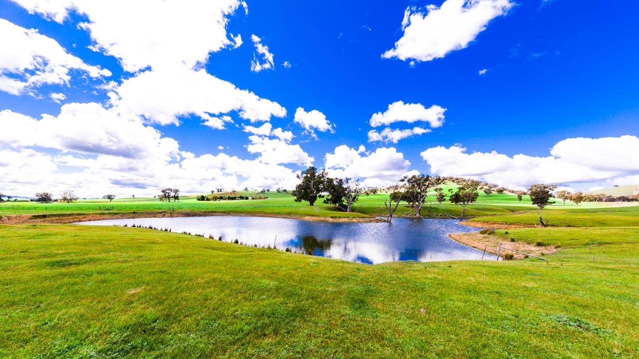 Hillview Farmstay Gundagai Luaran gambar