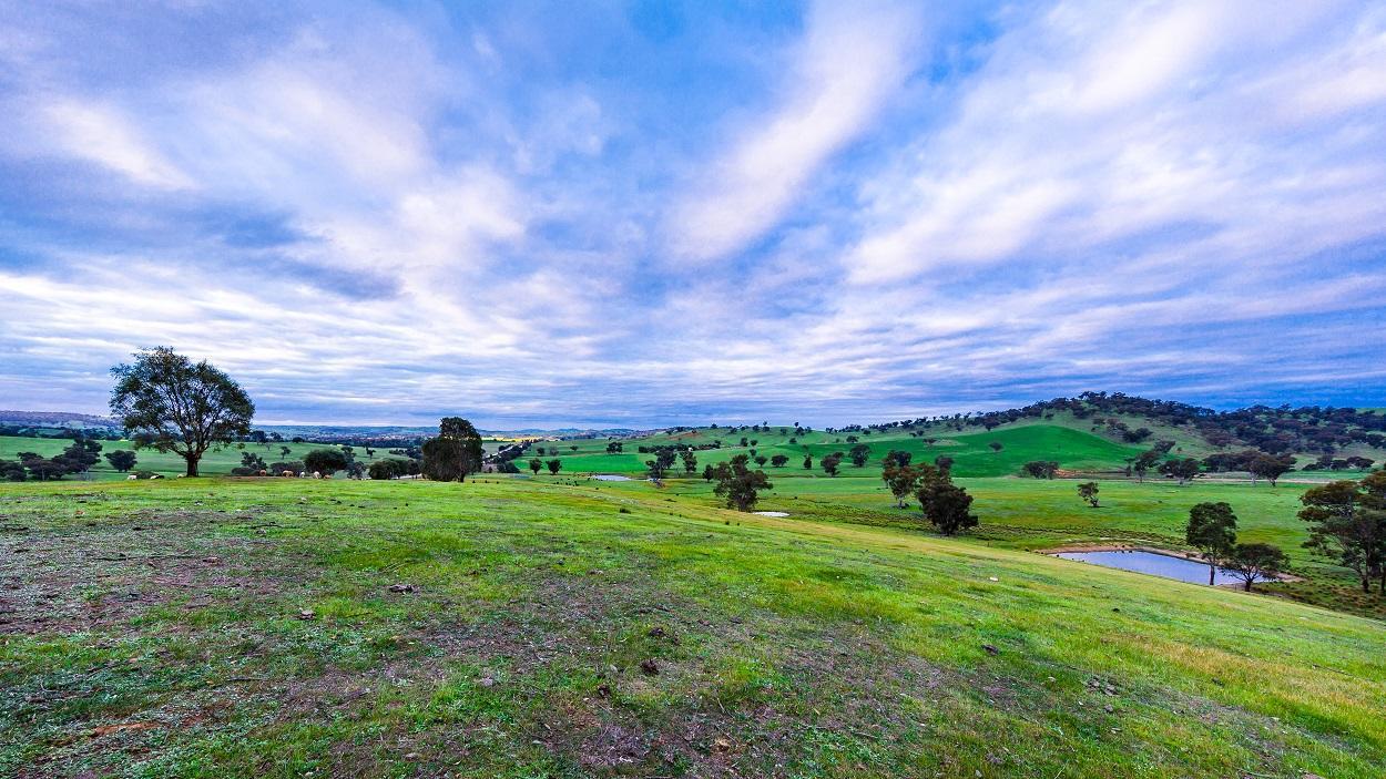 Hillview Farmstay Gundagai Luaran gambar