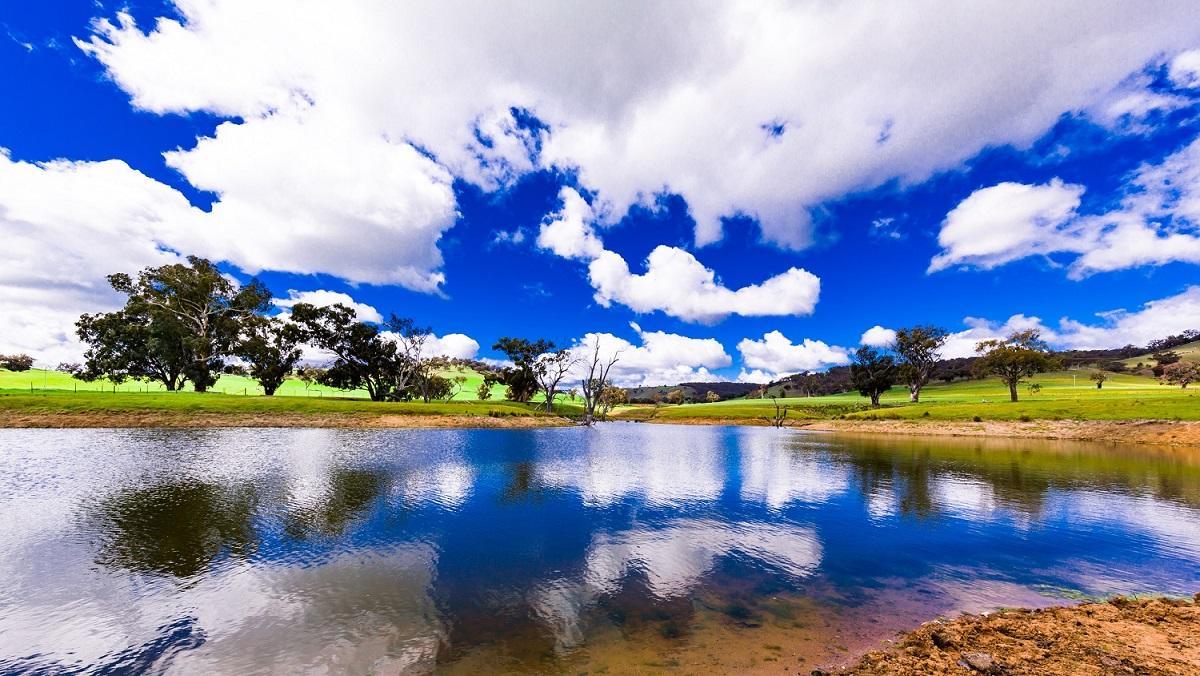Hillview Farmstay Gundagai Luaran gambar