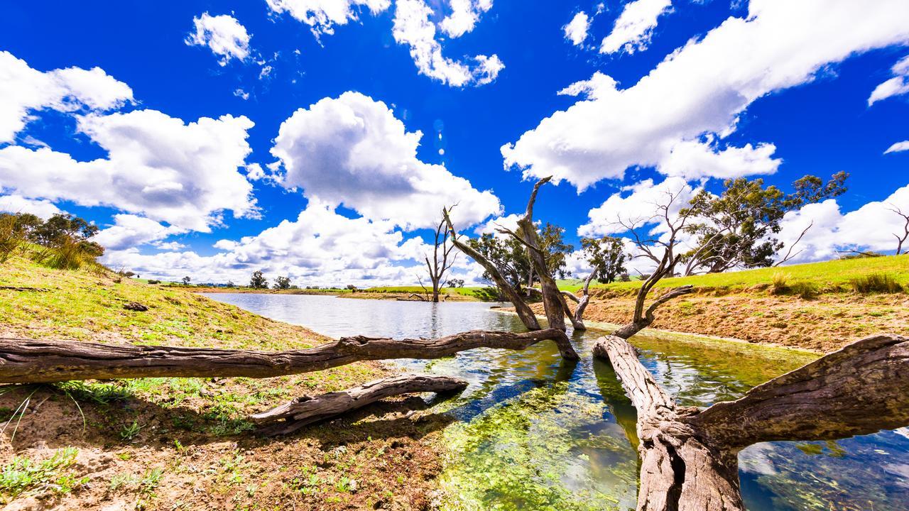 Hillview Farmstay Gundagai Luaran gambar