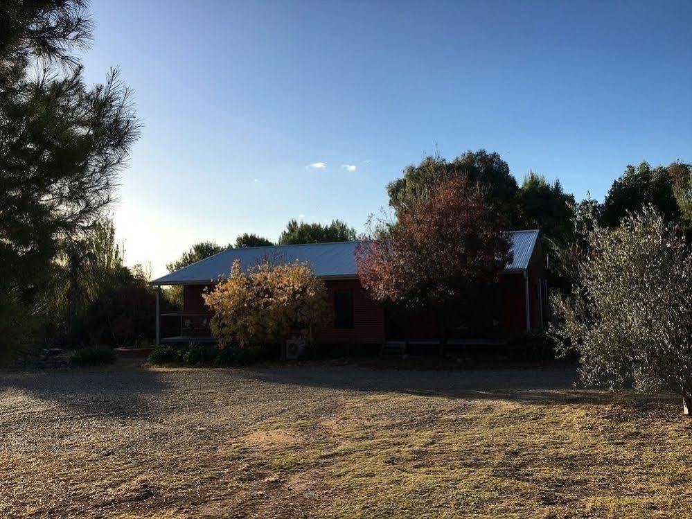 Hillview Farmstay Gundagai Luaran gambar