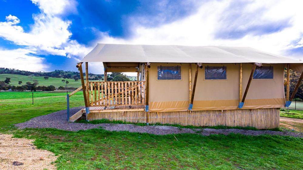 Hillview Farmstay Gundagai Luaran gambar