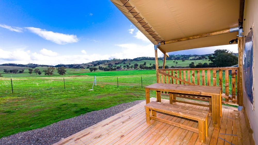Hillview Farmstay Gundagai Luaran gambar